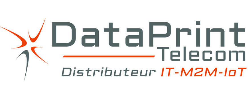 Logo DataPrint